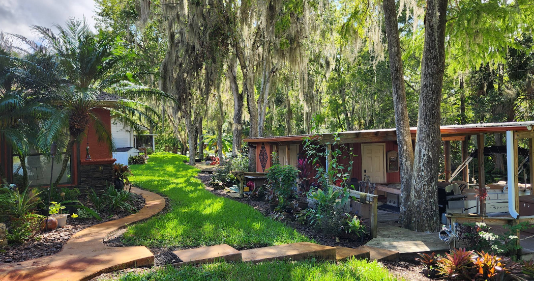 Backyard view of painted outbuildings and structures surrounded by lush landscaping and moss-draped trees