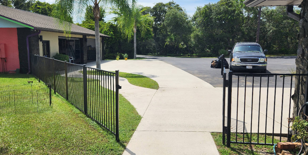 Light gray painted concrete driveway and walkway with black metal fencing and palm trees