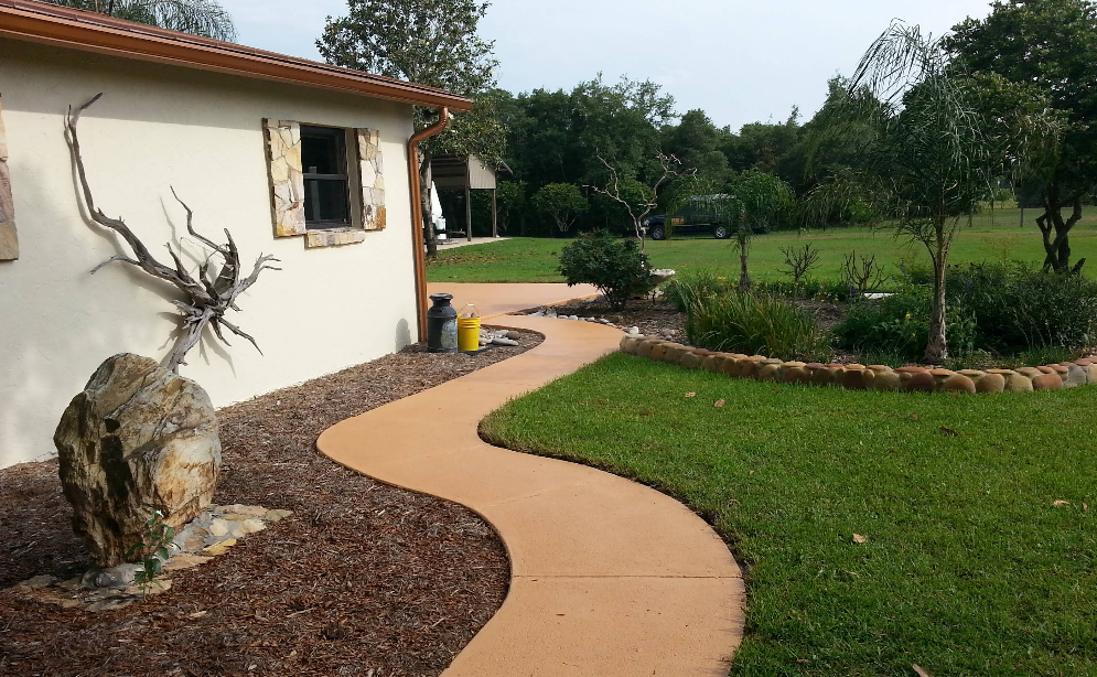 Curved tan painted concrete walkway winding through backyard with decorative driftwood sculpture