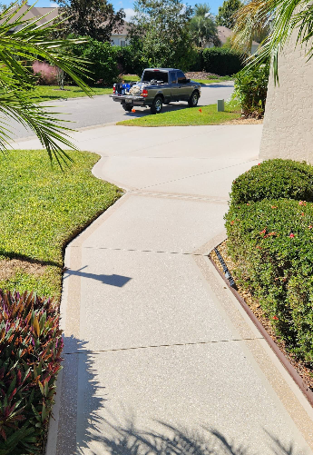 Curved light beige painted concrete driveway and walkway with palm fronds and landscaping
